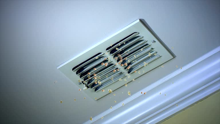 Best Local Air Duct Cleaning Services  in Idalou, TX